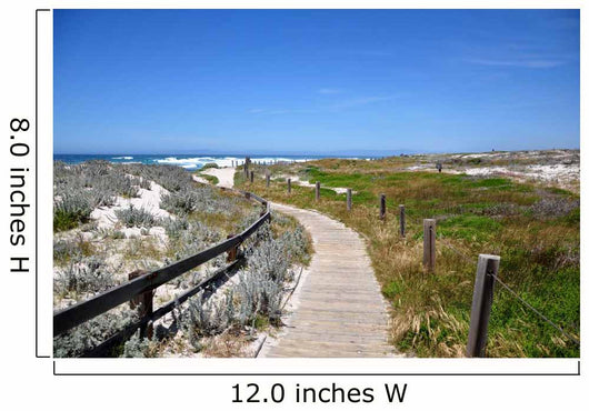 A trail by the coast of Spanish Bay, 17 Mile Drive, Monterey Wall Mural