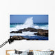 Big Surf Breaks Rocks