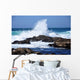 Big Surf Breaks Rocks