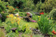 Gardener Garden Wall Decal