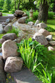 Beautiful Summer Garden with