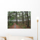 Chemin Foret Des Landes Wall Decal