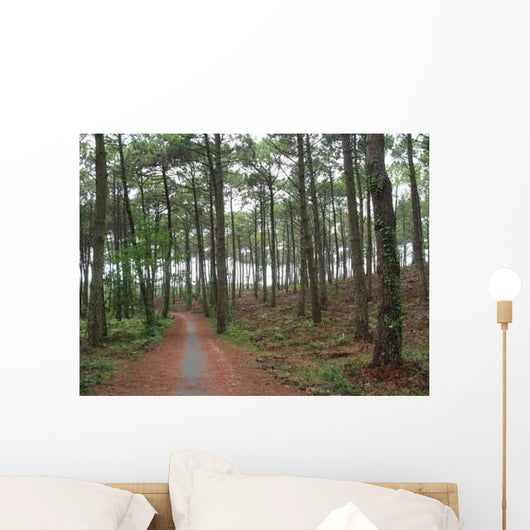 Chemin Foret Des Landes Wall Decal