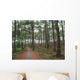 Chemin Foret Des Landes Wall Decal