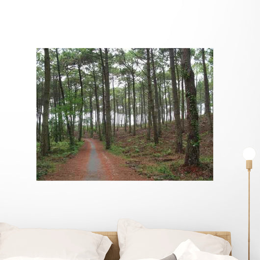 Chemin Foret Des Landes Wall Decal