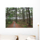 Chemin Foret Des Landes Wall Decal
