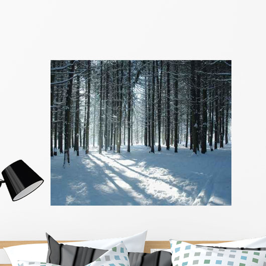 Fir Forest Winter Wall Decal