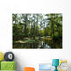 Marsh in New Orleans Wall Mural