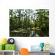 Marsh in New Orleans Wall Mural