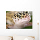 Gecko Closeup Wall Mural