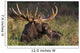 Large Bull Moose resting in grass Wall Mural
