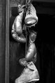 Boxing Gloves Wall Mural