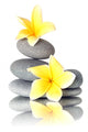 Yellow Flowers Stacked Stones