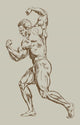 bodybuilder Wall Mural