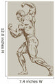 bodybuilder Wall Mural