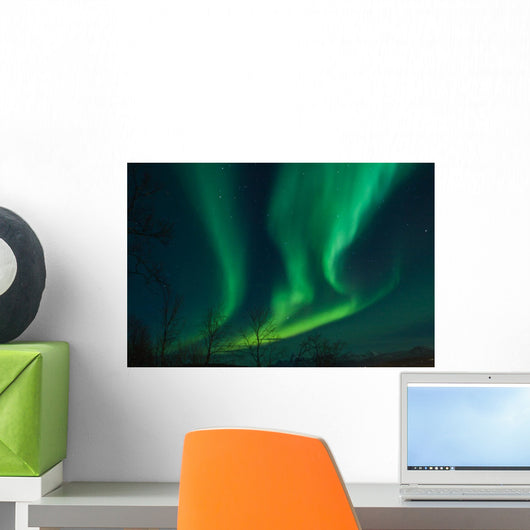 Northern Lights swirling in the night sky Wall Mural
