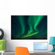Northern Lights swirling in the night sky Wall Mural