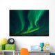 Northern Lights swirling in the night sky Wall Mural