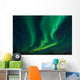 Northern Lights swirling in the night sky Wall Mural