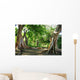 Ficus Wall Mural