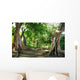 Ficus Wall Mural