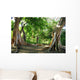 Ficus Wall Mural