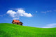 House Green Field Wall Decal
