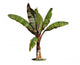 Banana 6 Wall Decal