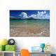 Major's Bay Beach - St Kitts Wall Mural