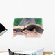 Reading Bible