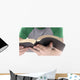 Reading Bible