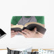 Reading Bible