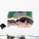 Reading Bible