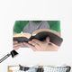 Reading Bible