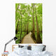 Bald cypresses in Congaree National park, South Carolina Wall Mural