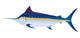 Blue Marlin Swordfish Wall Decal
