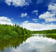 Lake Wall Mural