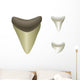 Shark's Teeth Megalodon Fossil Wall Mural
