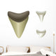 Shark's Teeth Megalodon Fossil Wall Mural