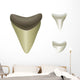 Shark's Teeth Megalodon Fossil Wall Mural