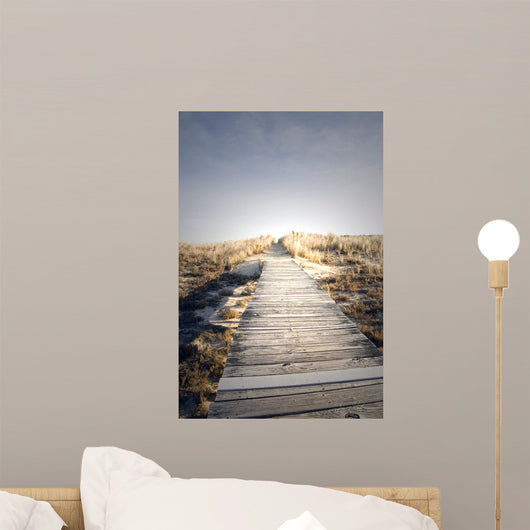 Boardwalk to Nowhere Wall Mural