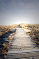 Boardwalk to Nowhere Wall Mural
