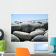 Shingle Wall Decal