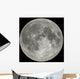 moon Wall Mural