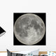 moon Wall Mural