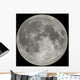 moon Wall Mural