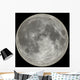moon Wall Mural