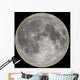 moon Wall Mural