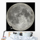 moon Wall Mural