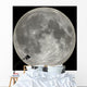 moon Wall Mural